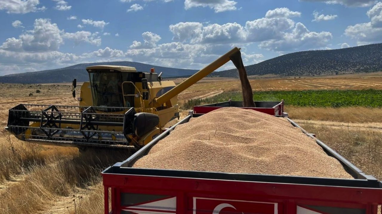 Gaziantep'te Buğday Hasadı Yapan Çiftçi Dertli! BUĞDAY FİYATLARI NE ZAMAN AÇIKLANACAK?