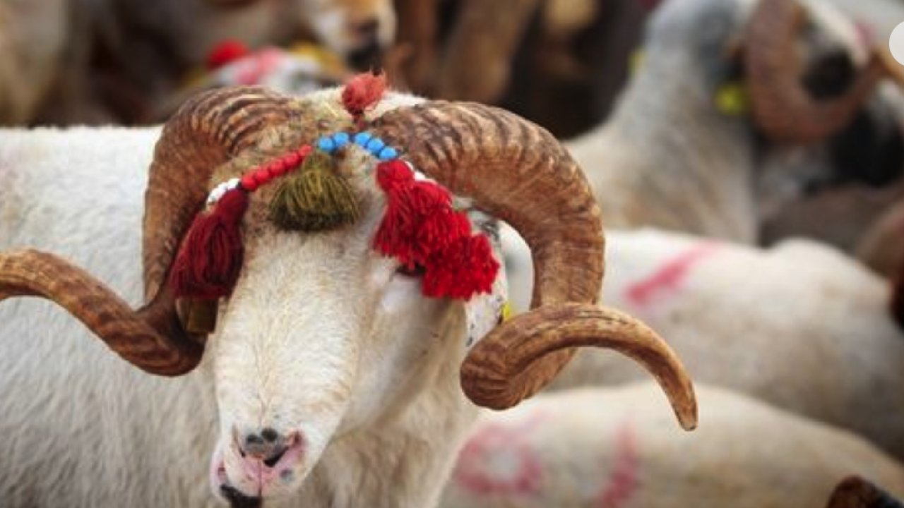 Şehitkamil’de kurban kesim yerleri belirlendi