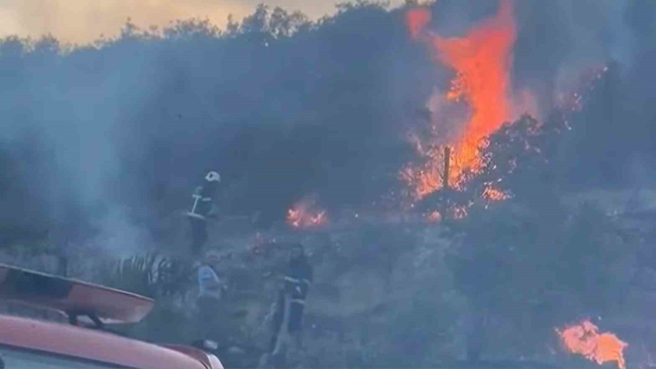 Gaziantep’te korkutan orman yangını