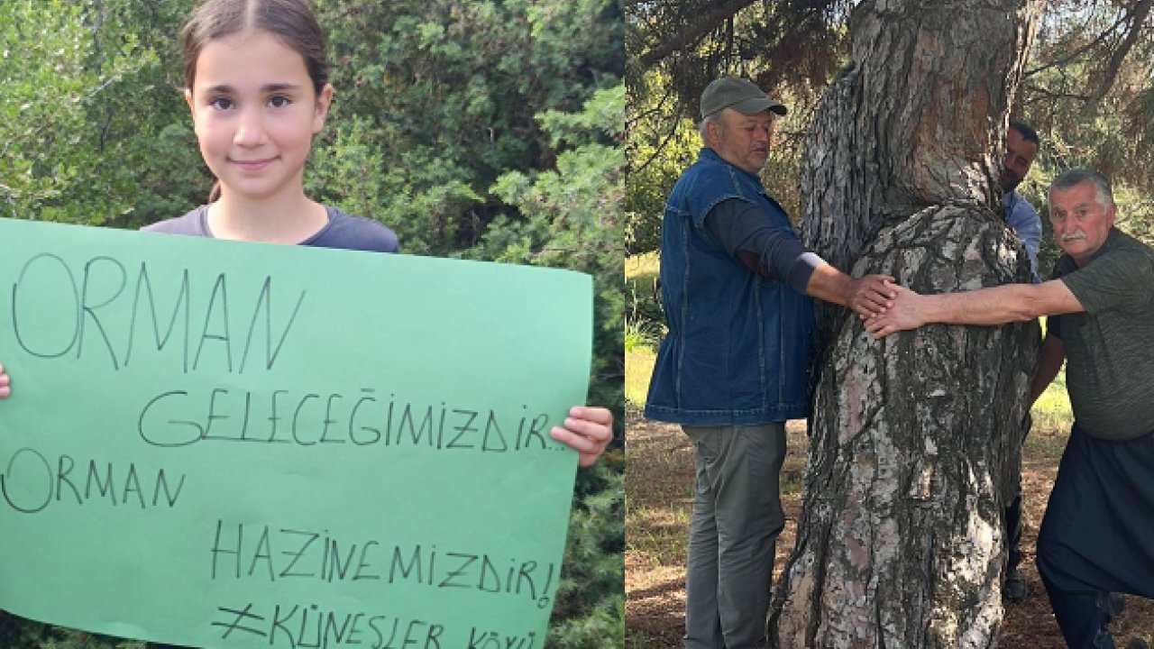 GAZİANTEP'TE KÖYLÜLERİN FERYADI: 'Ormana kıymayın efendiler'