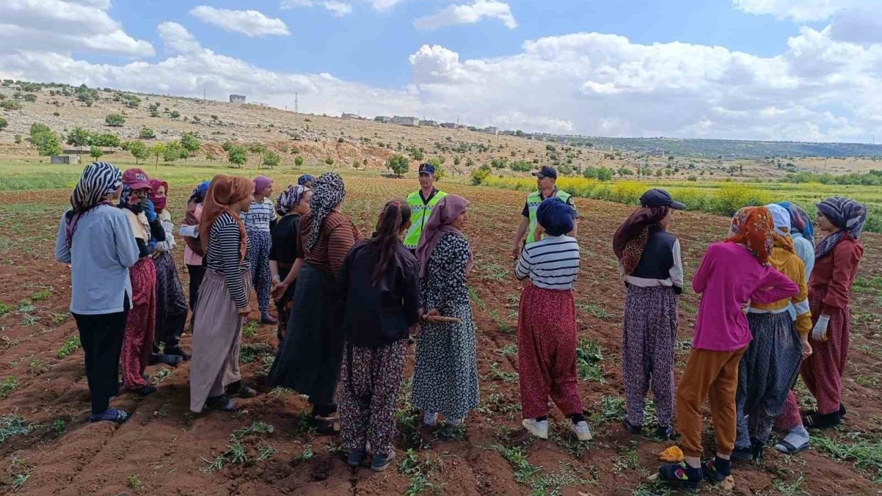 Gaziantep'te 357 mevsimlik tarım işçisine jandarmadan eğitim