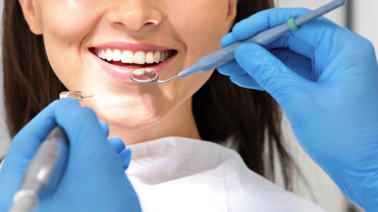 Diş Hekimliği Eğitimi için Kılavuzunuz