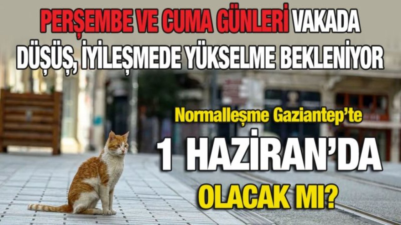 Perşembe ve Cuma günleri vakada düşüş, iyileşmede yükselme bekleniyor...Normalleşme Gaziantep’te 1 Haziran’da olacak mı?