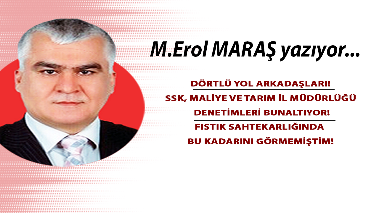 Dörtlü yol arkadaşları! SSK, Maliye ve Tarım İl Müdürlüğü denetimleri bunaltıyor! Fıstık sahtekarlığında bu kadarını görmemiştim