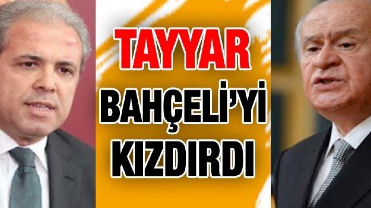 Şamil Tayyar, Devlet Bahçeli'yi Neden Kızdırdı?