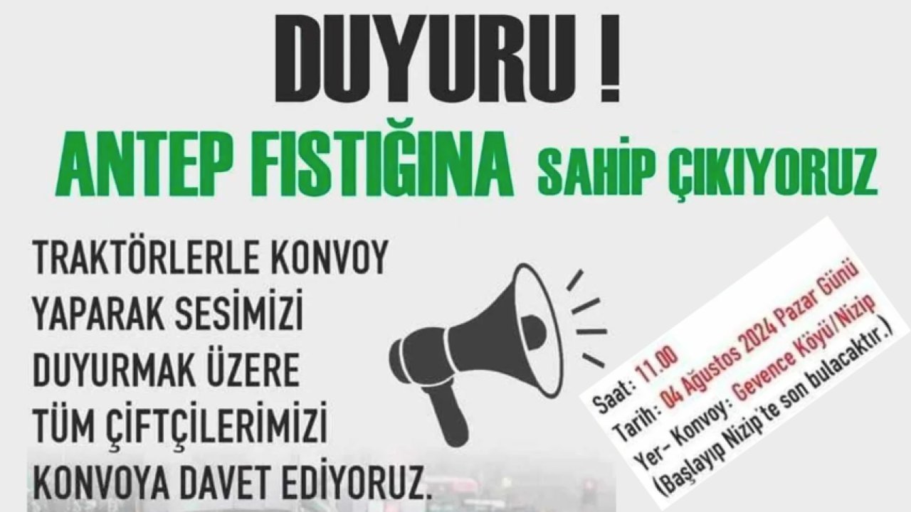 ANTEPFISTIĞI FİYATLARI İSYAN ETTİRDİ! Gaziantep’te antepfıstığı üreticileri PROTESTOYA HAZIRLANIYOR!