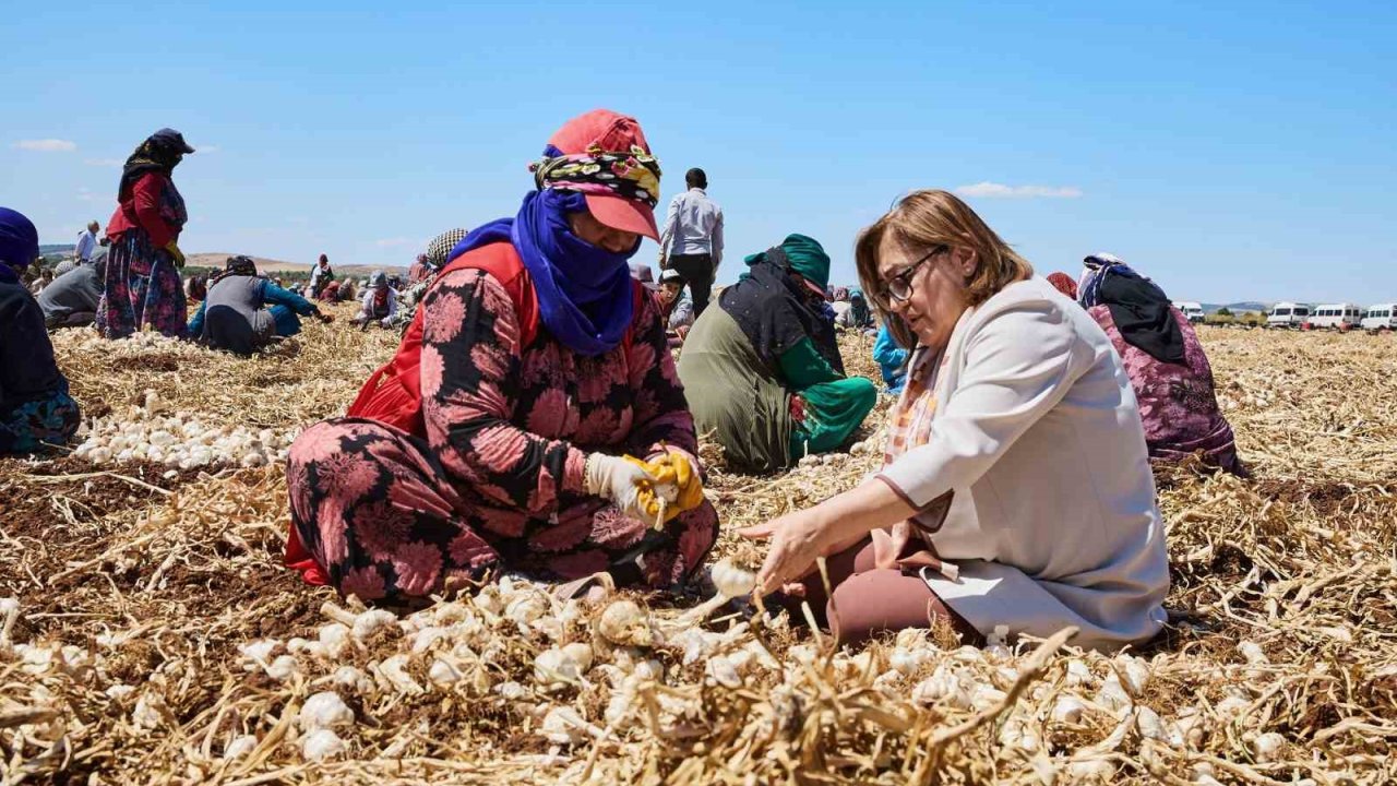 Gaziantep’te "Haydi Tarladan Sofraya" projesi ile çiftçi ile tüketici buluşturulacak