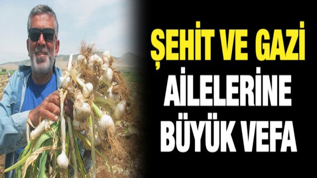 Şehit aileleri ve gazilerin sarımsak ihtiyacı ücretsiz karşılanacak