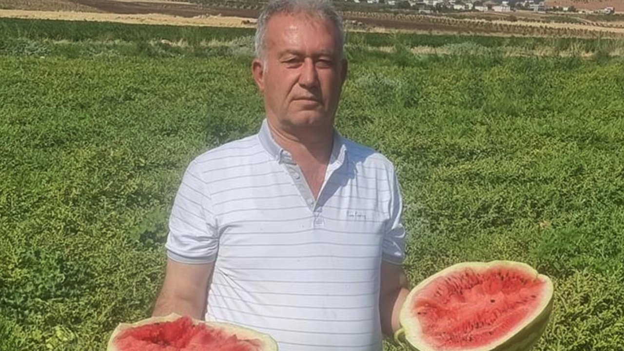 Gaziantepli Çiftçiler Ümitsiz! “Tarlada bedava, rafta ateş pahası”