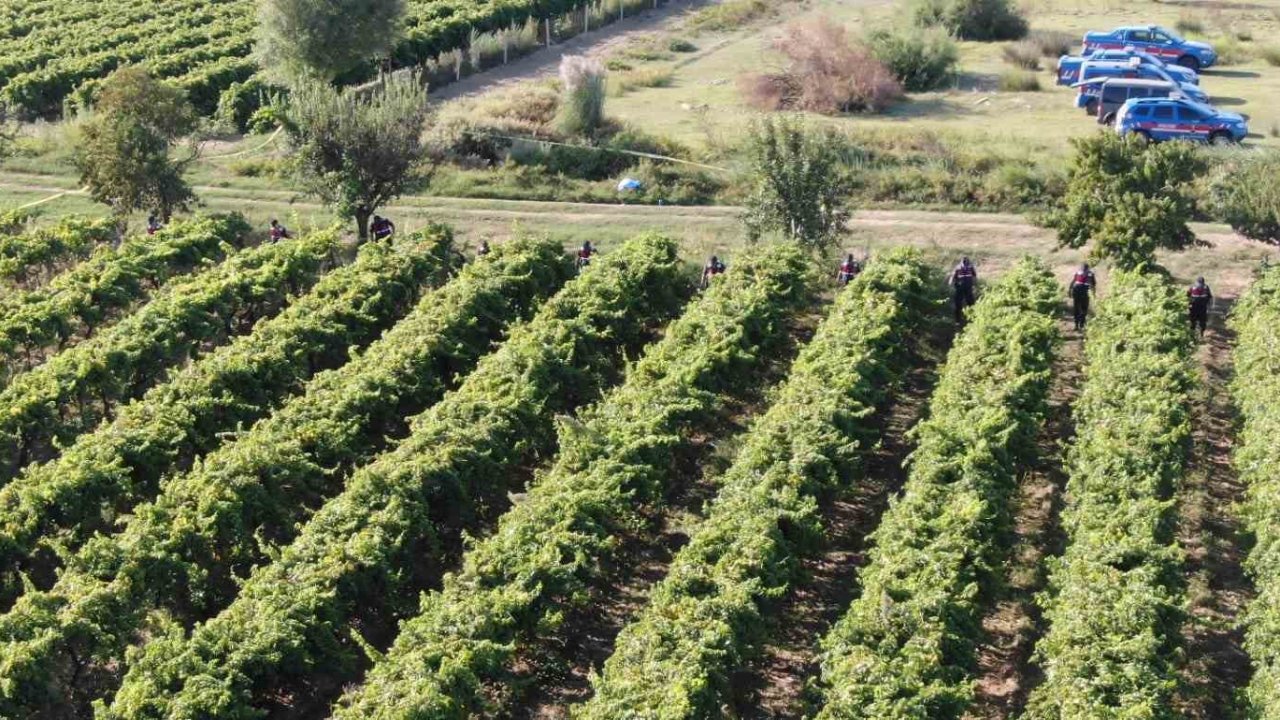 MANİSA'DA DEHŞET! : Çiftçi   İzzet Doğan öldürüldü, 2 kişi tutuklandı