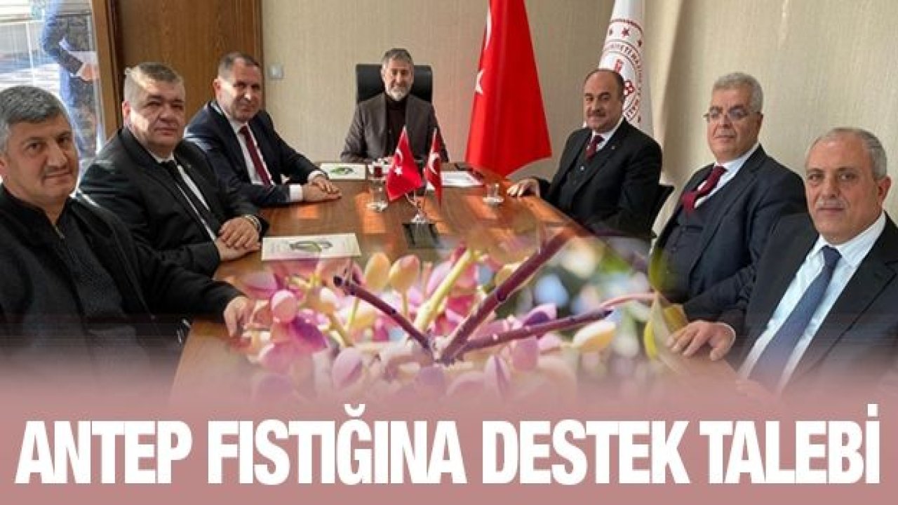 Antep fıstığına destek talebi