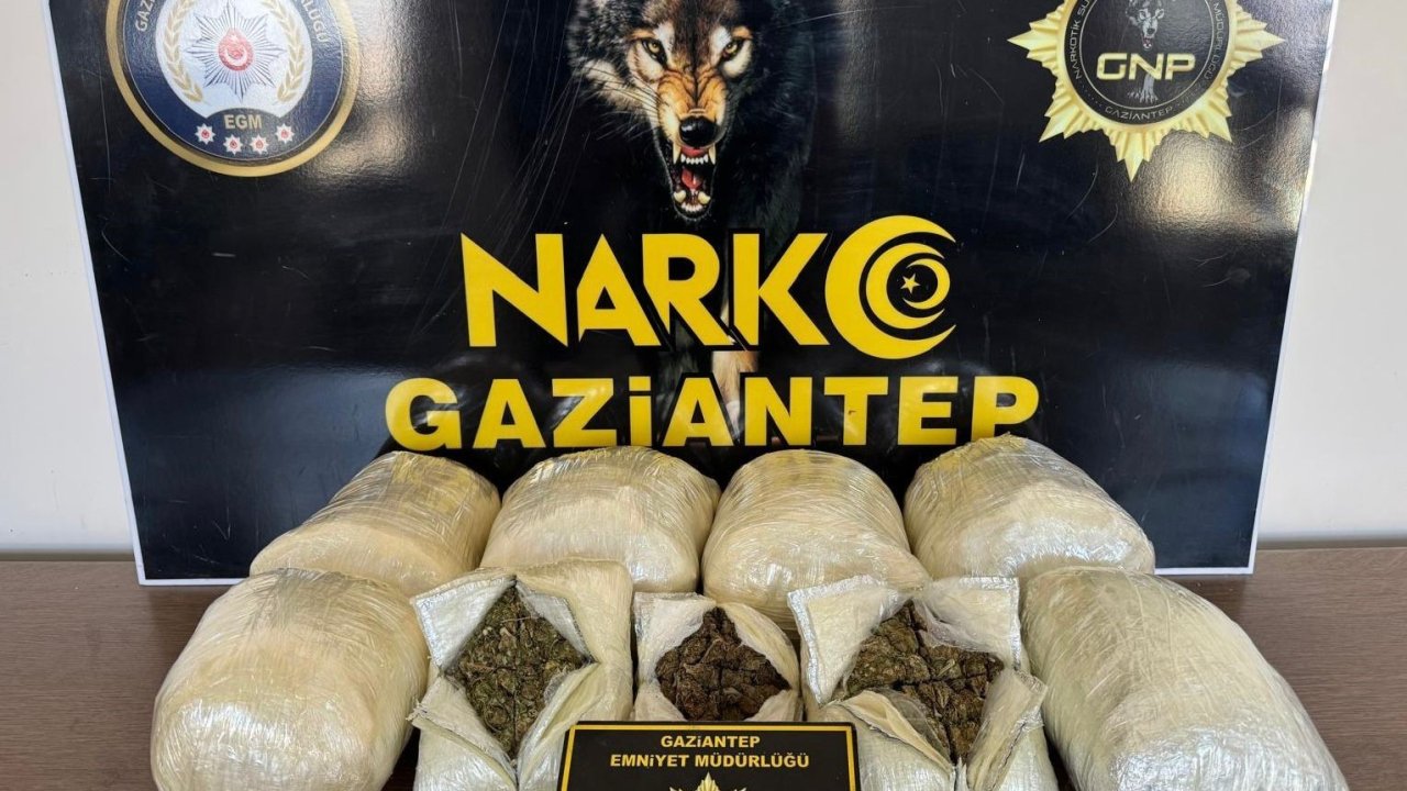 Gaziantep’te 5 kilo skunk ele geçirildi