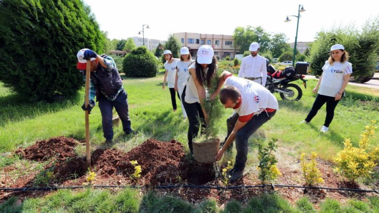 Sonsuz rotalar GAÜN'de yeşerecek