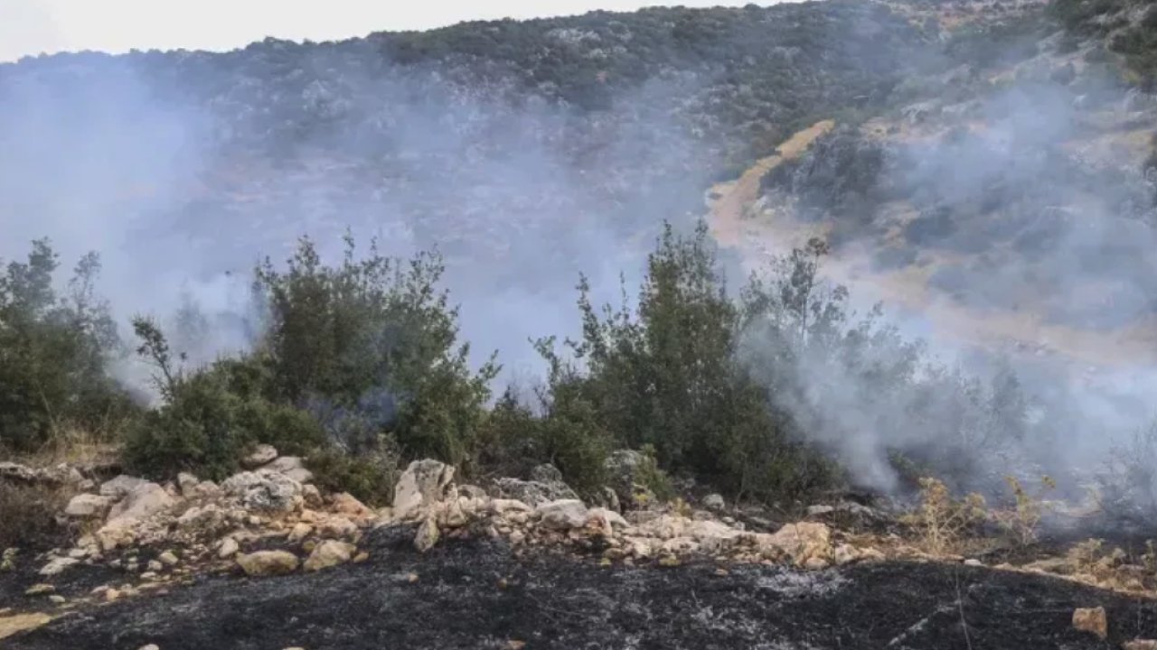 Gaziantep'te KORKUTAN ORMAN YANGINI!