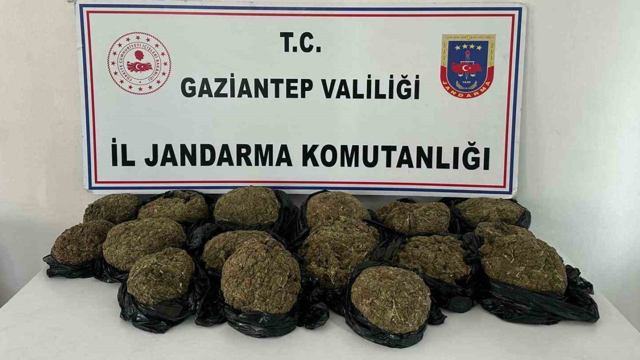 Gaziantep'te otobüsün bağajından 18.5 kilo skunk ele geçirildi