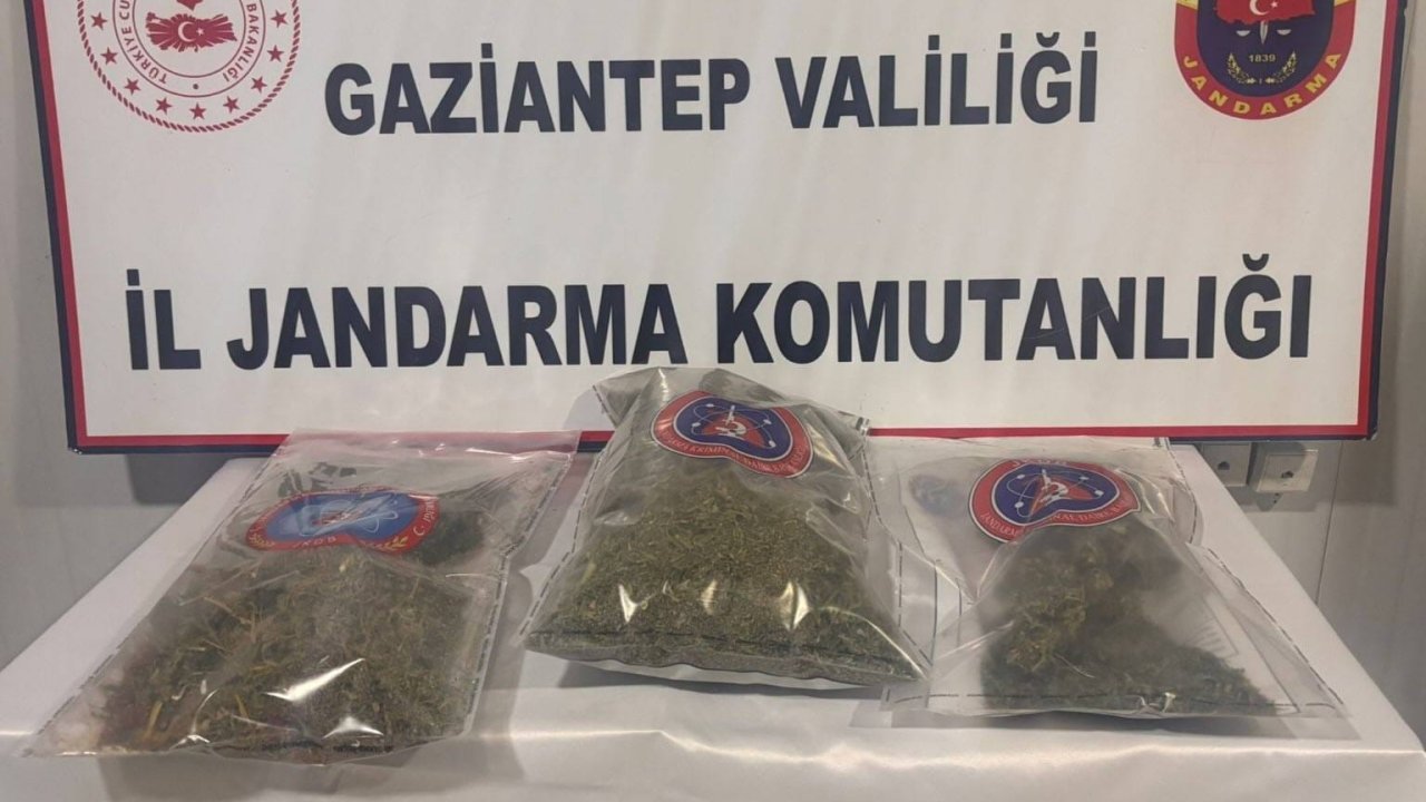 Gaziantep’te 1 kilo esrar ele geçirildi