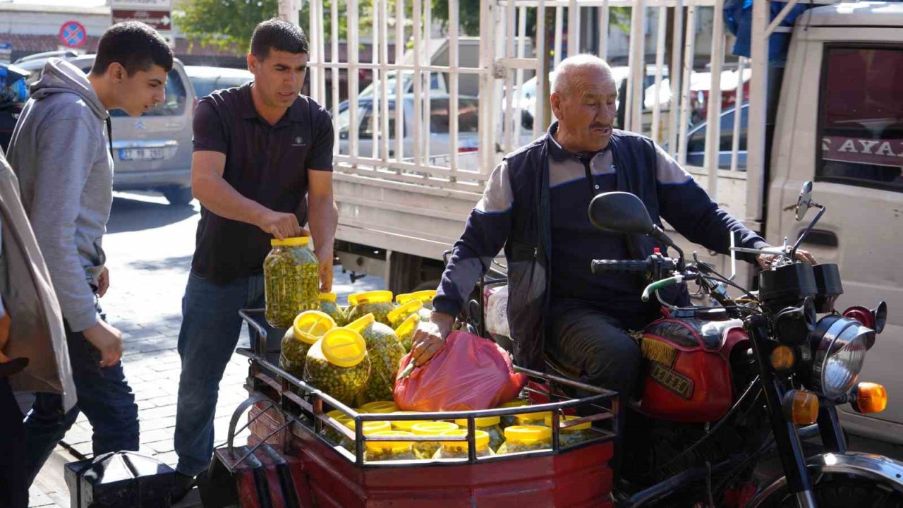 Gaziantep’te yeşil zeytinler tezgaha indi