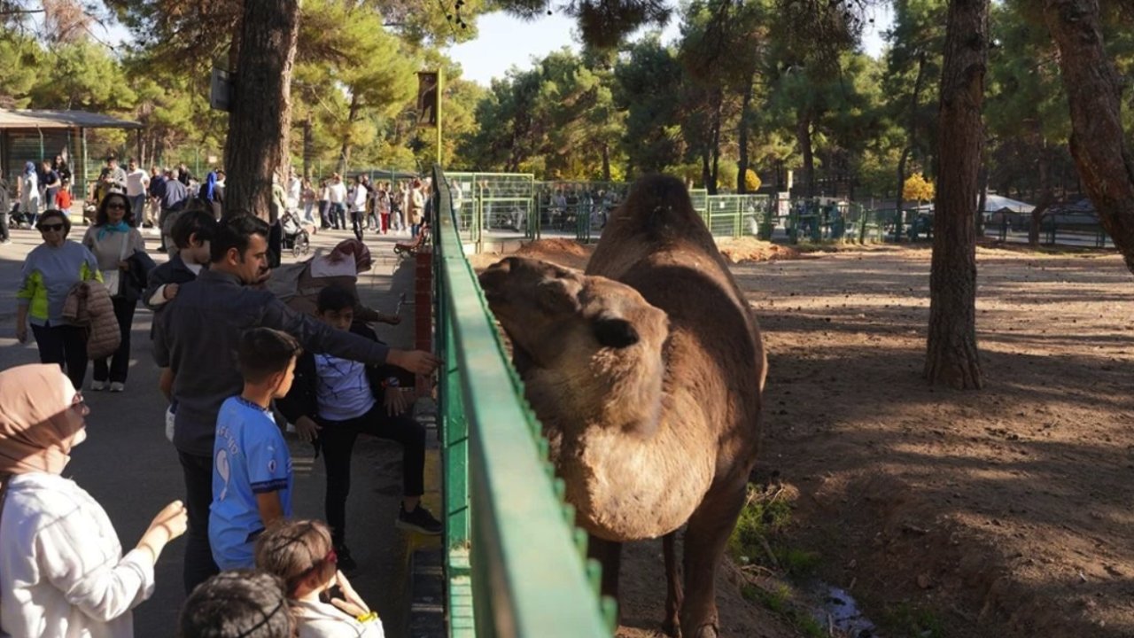 Gaziantep Doğal Yaşam Parkı'nı yılbaşından bu yana 4,2 milyon ziyaretçi gezdi