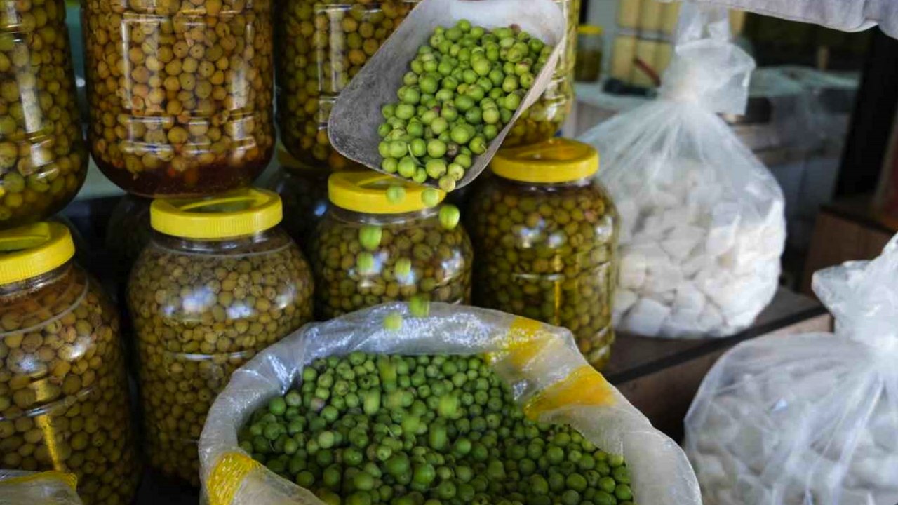 Gaziantep'te Zeytin Almak İçin Acele Edin... İşte Sebebi