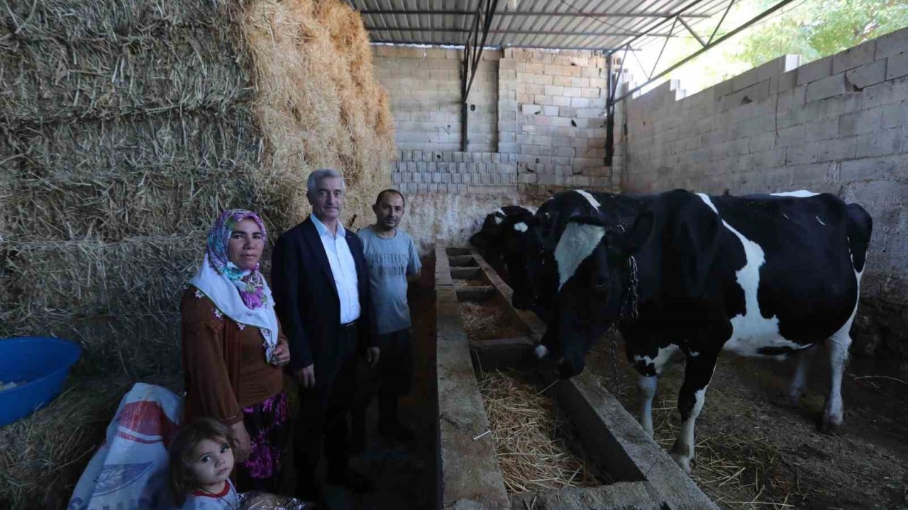 Şahinbey Belediyesi’nin destekleri ile hayvan yetiştiriciliği arttı