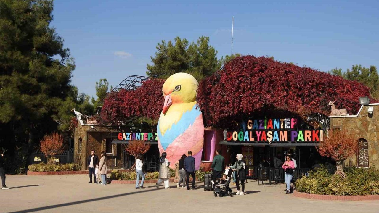 Gaziantep Doğal Yaşam Parkı’na ara tatilde ziyaretçi akını