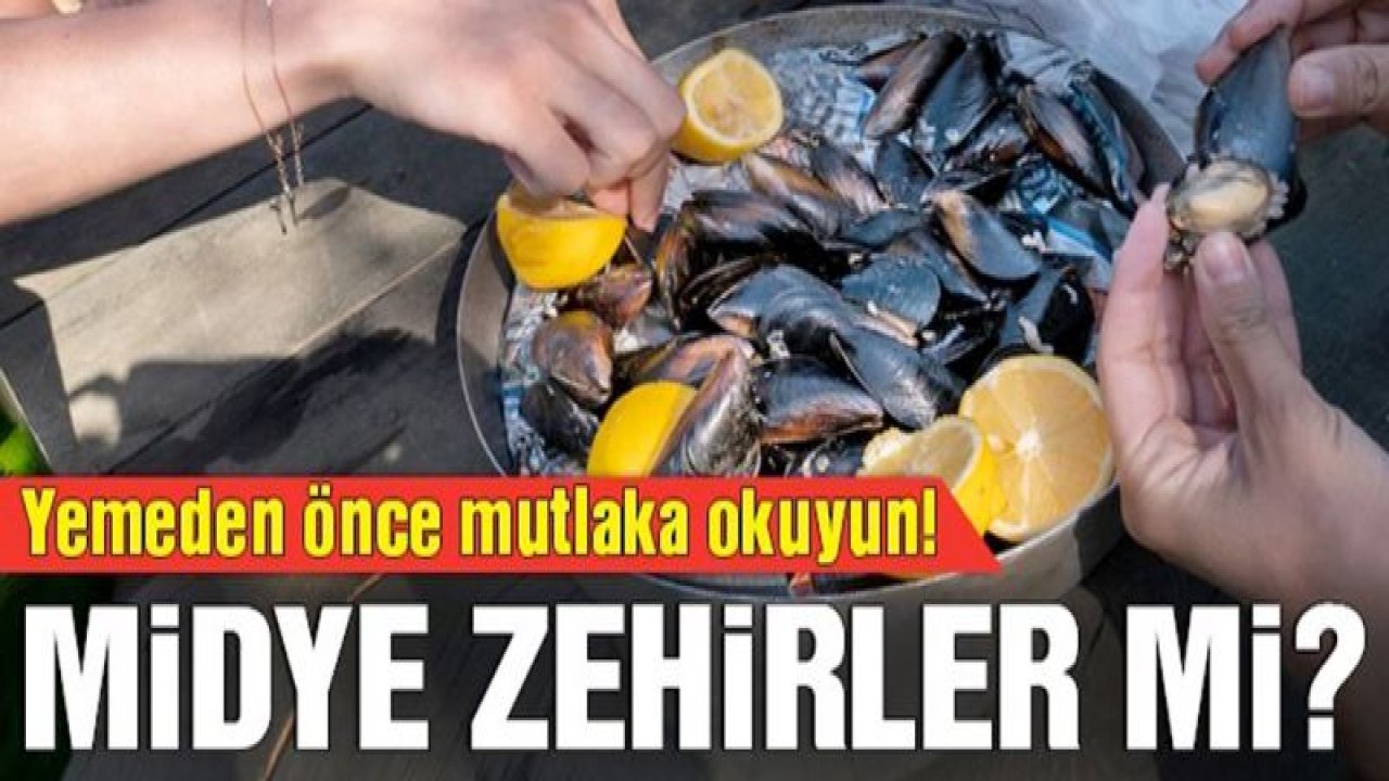 Yaz aylarında gıda zehirlenmesine dikkat edin!