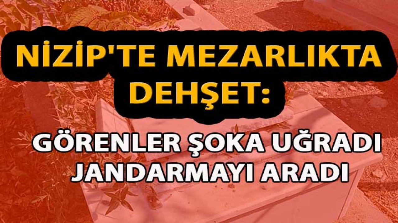 Nizip'te Mezarlıkta Dehşet: Görenler Şoka Uğradı; Hemen Jandarmayı Aradı