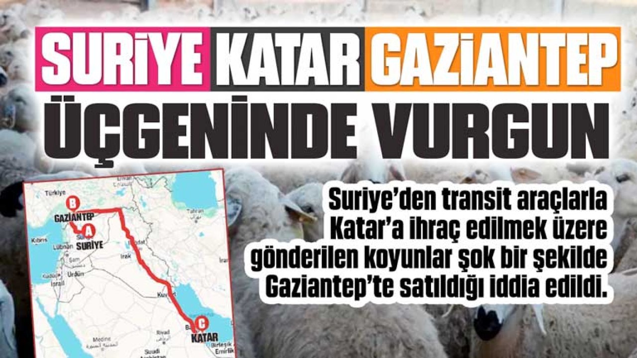 Gaziantep, Suriye, Katar, Üçgeninde Vurgun! Milyar TL'ler Konuşuluyor...