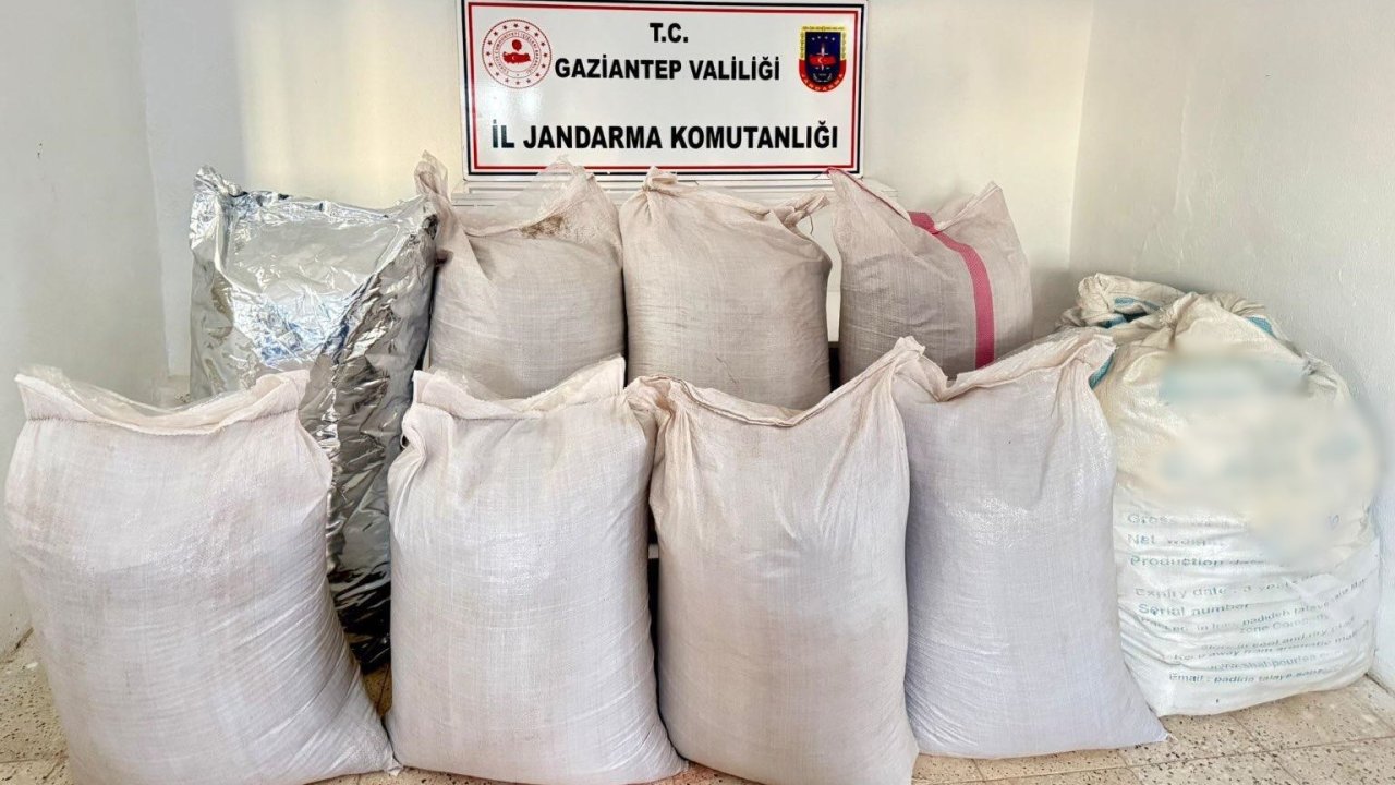 Gaziantep’te 1 ton 750 kilo kaçak tütün ele geçirildi