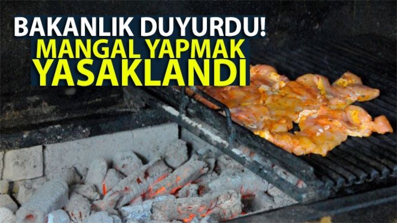 Bakanlık duyurdu! Mangal yapmak yasaklandı