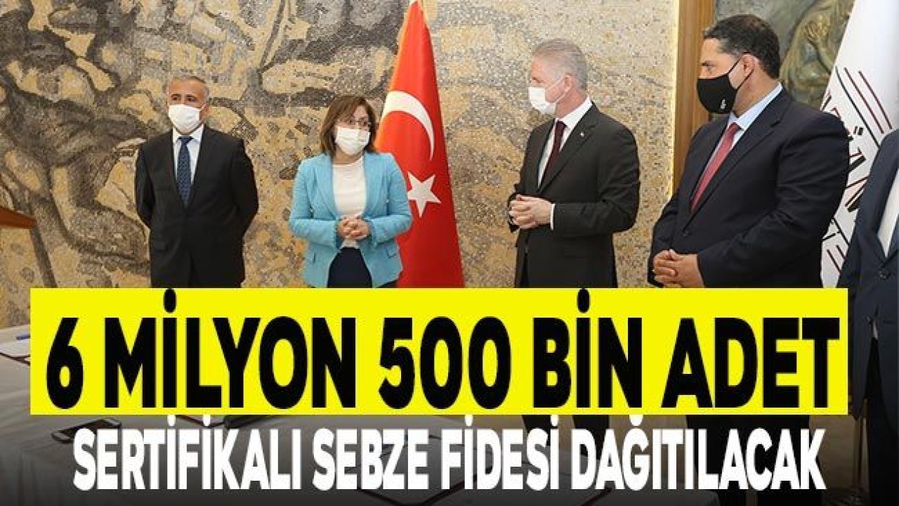 Büyükşehir Gaziantep Çiftçisine 6 Milyon 500 Bin Adet Sertifikalı Sebze Fidesi Dağıtacak