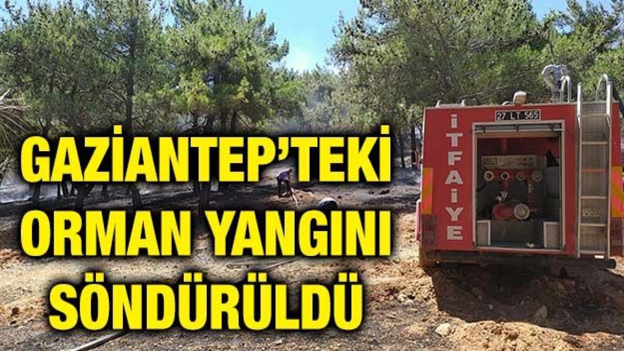 Gaziantep’teki orman yangını söndürüldü