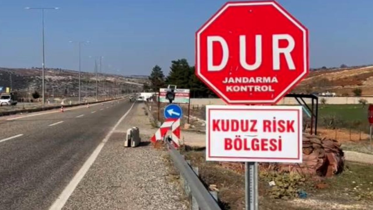 Gaziantep'ten Getirdiği Köpek Kuduz Çıktı! Belde karantinaya alındı