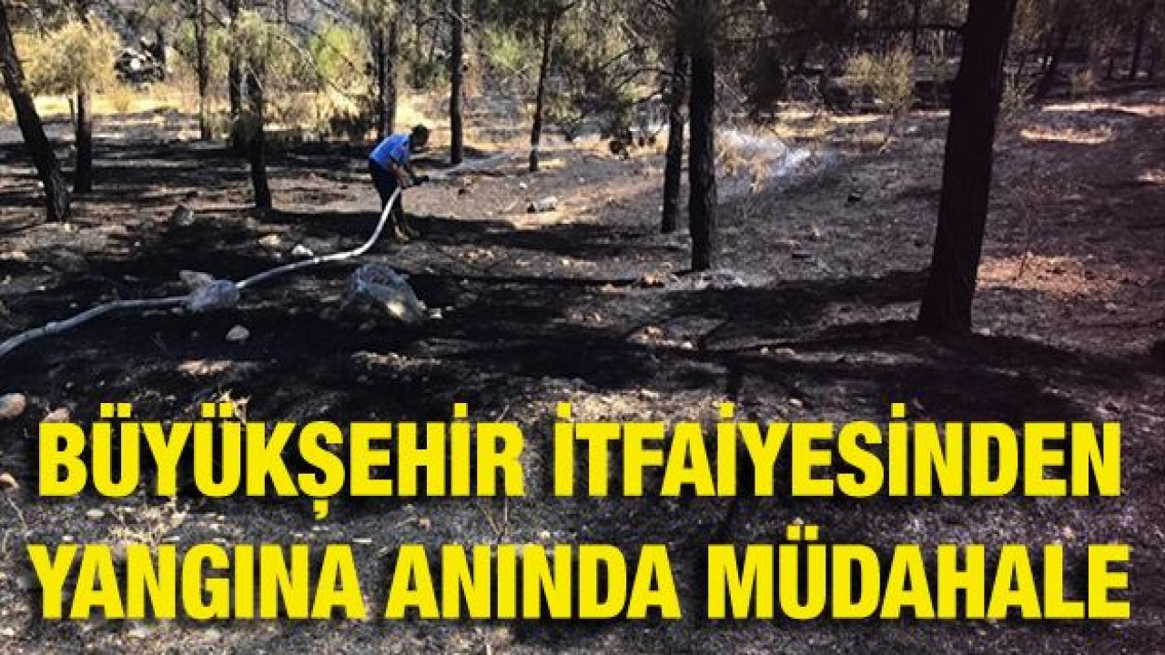 Büyükşehir'den yangına anında müdahale