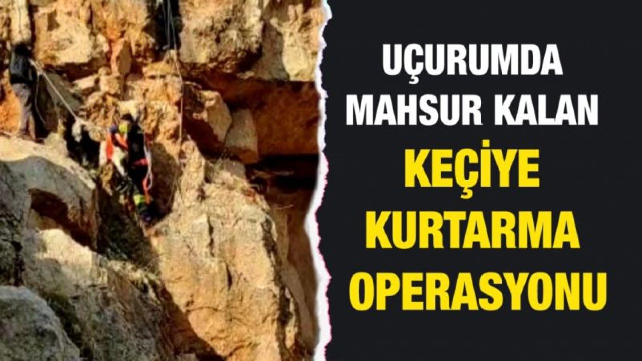 Uçurumda mahsur kalan keçiye kurtarma operasyonu