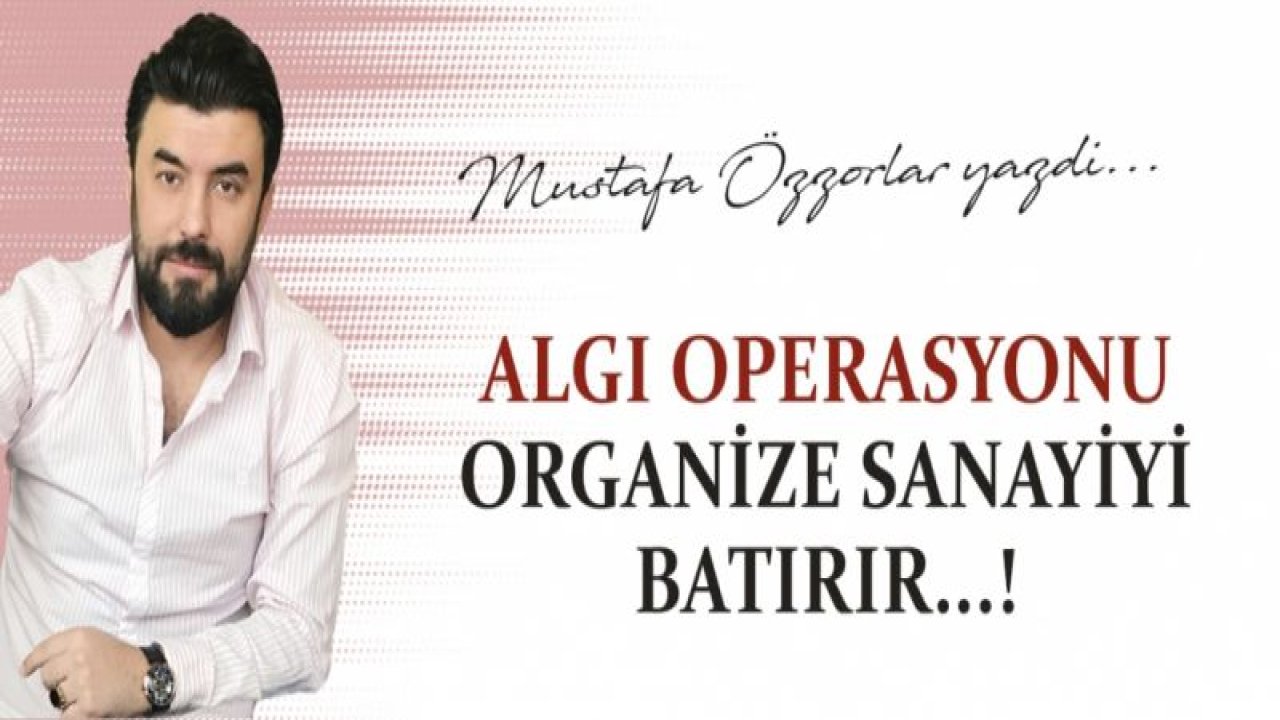 ALGI OPERASYONU ORGANİZE SANAYİYİ BATIRIR!