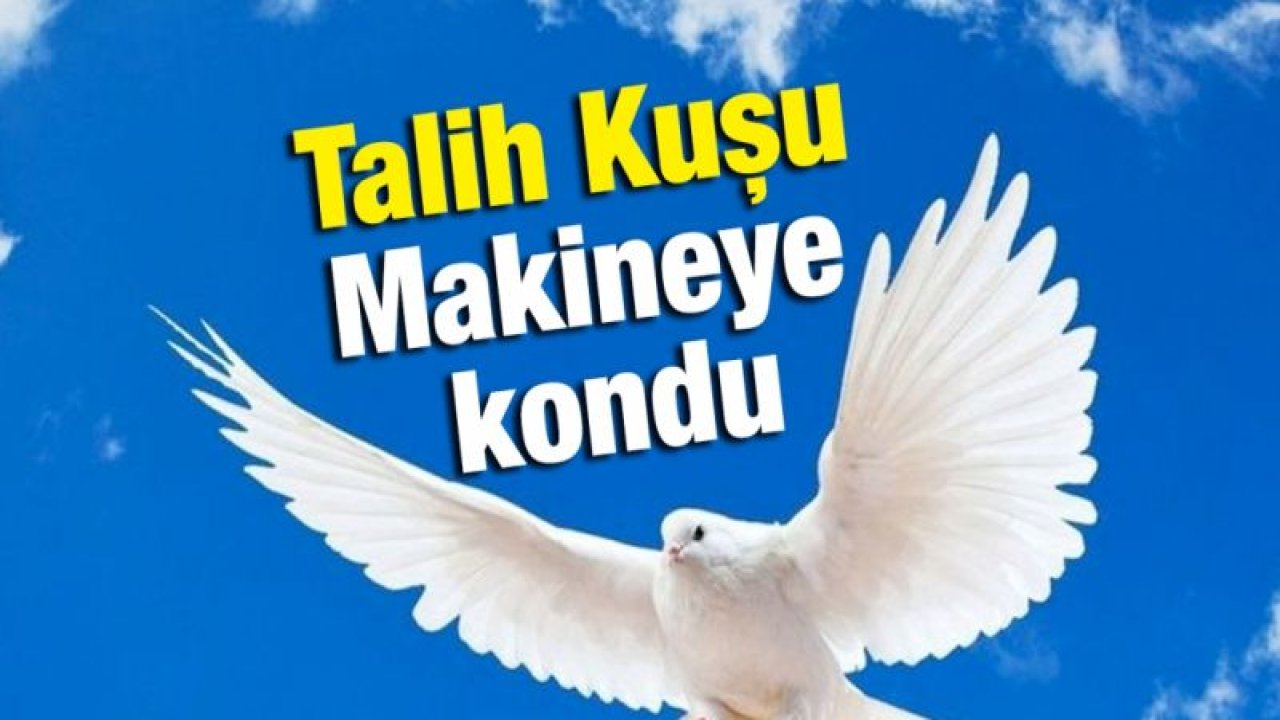 Talih Kuşu Makineye kondu