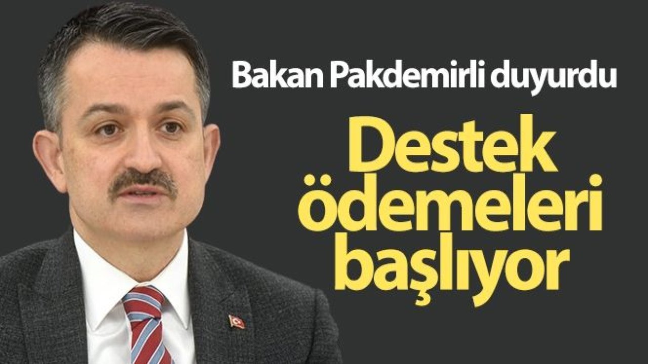 Bakan Pakdemirli: '140 milyon liralık destek bugün hesaplara aktarılacak'