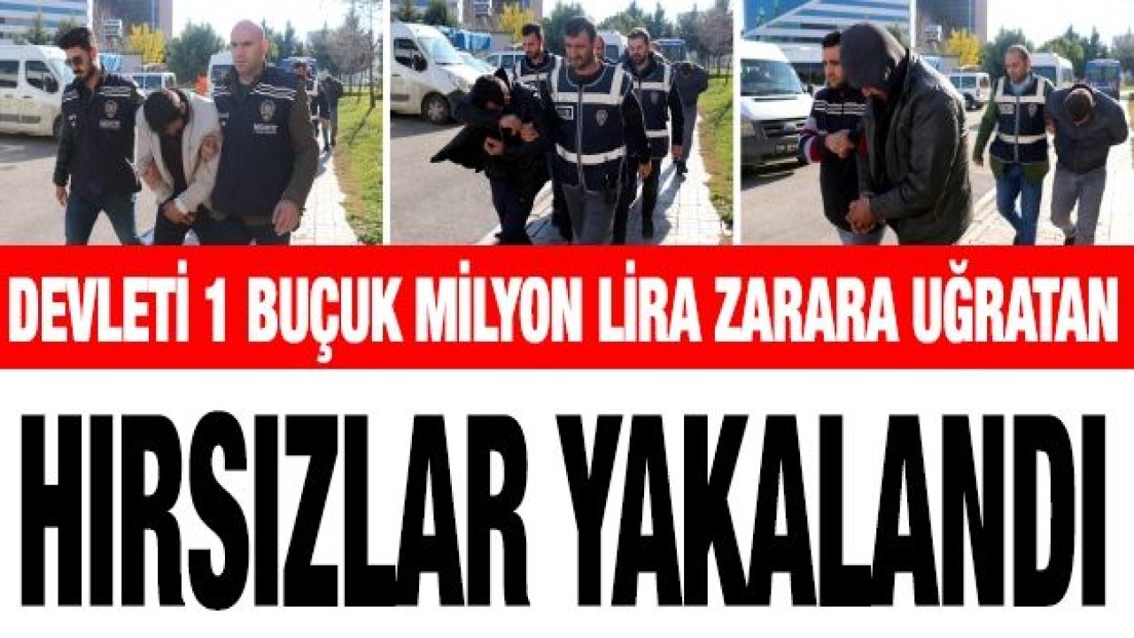 Devleti 1 buçuk milyon lira zarara uğratan hırsızlar yakalandı