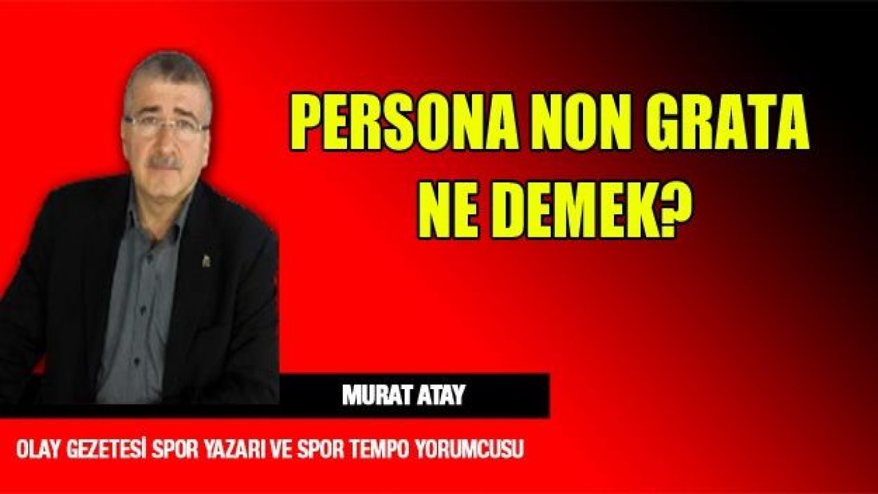 Persona non grata ne demek?