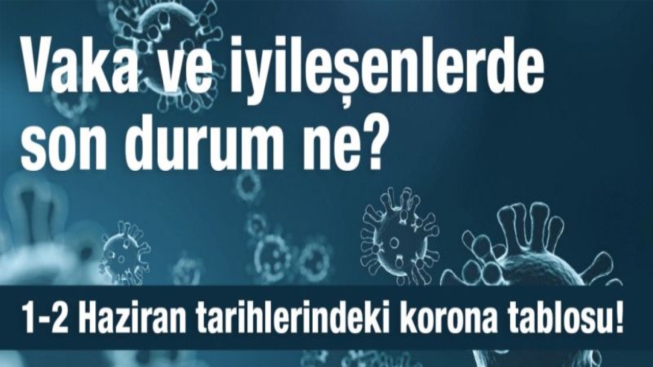 Gaziantep'te Vaka ve iyileşenlerde son durum ne?  İşte 1-2 Haziran tarihlerindeki korona tablosu!