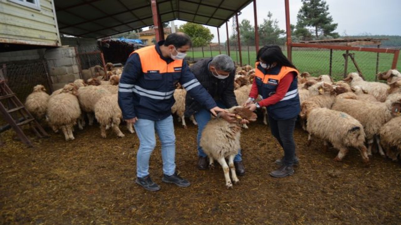 "Köyümde yaşamak için bir sürü nedenim var" projesi