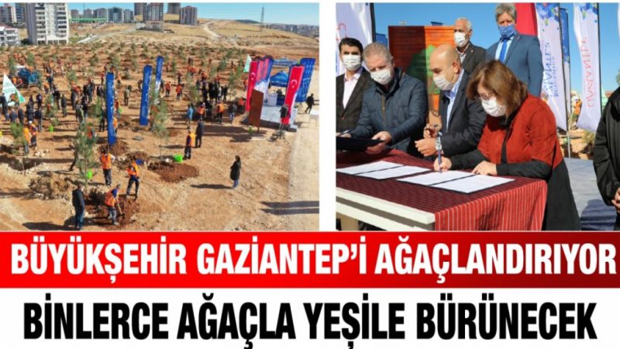 BÜYÜKŞEHİR GAZİANTEP’İ AĞAÇLANDIRIYOR