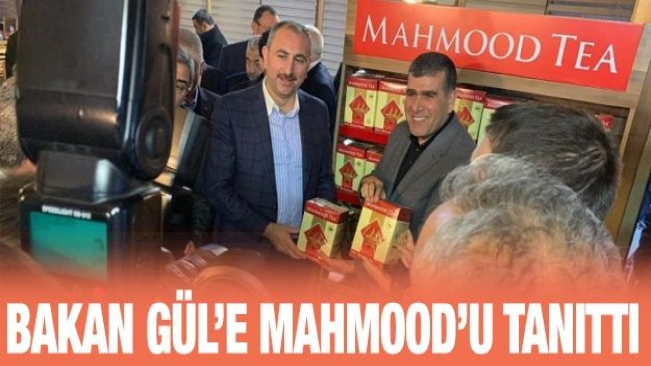 Bakan Gül’e Mahmood’u tanıttı