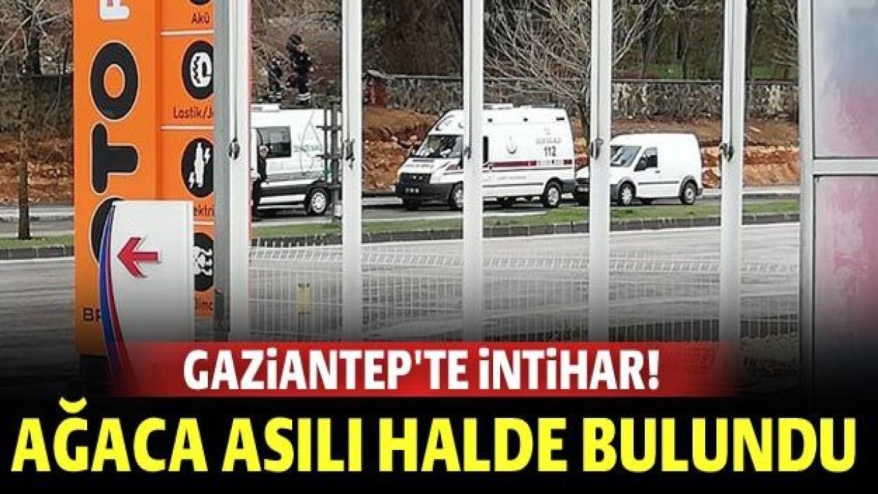 Gaziantep'te intihar! Ağaca asılı halde bulundu