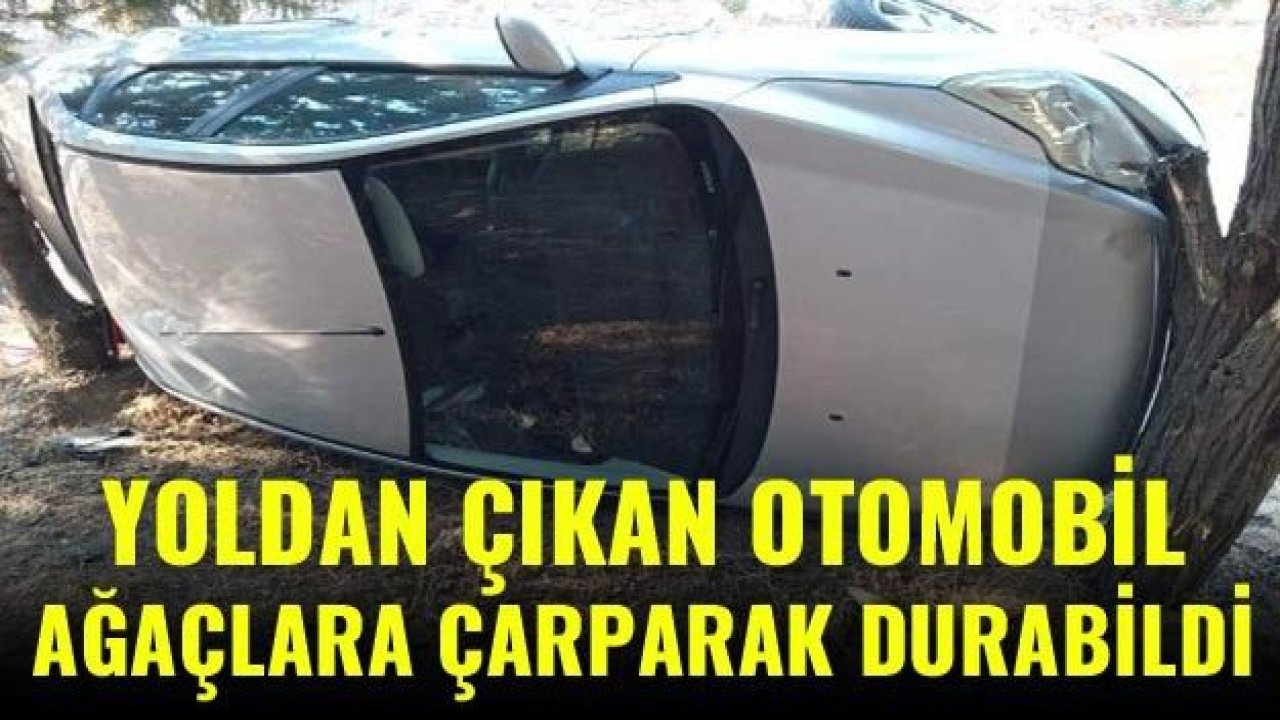 Yoldan çıkan otomobil ağaçlara çarparak ancak durabildi