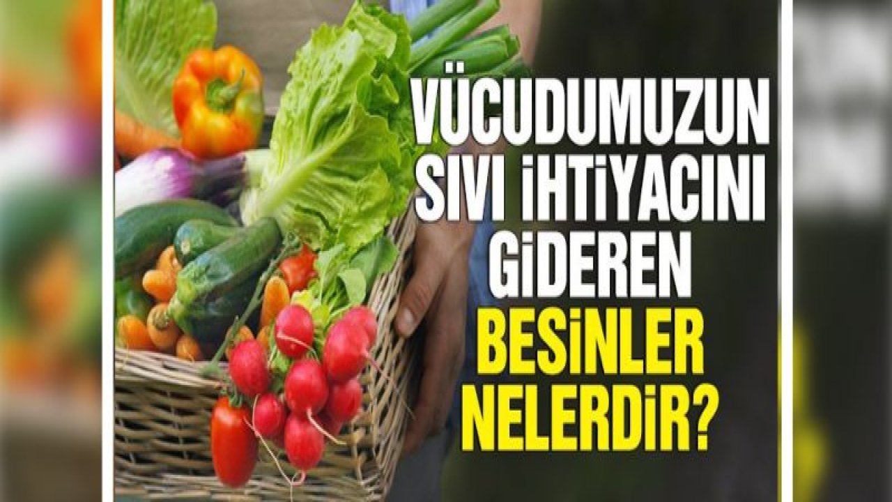 Vücudumuzun sıvı ihtiyacını gideren besinler nelerdir?