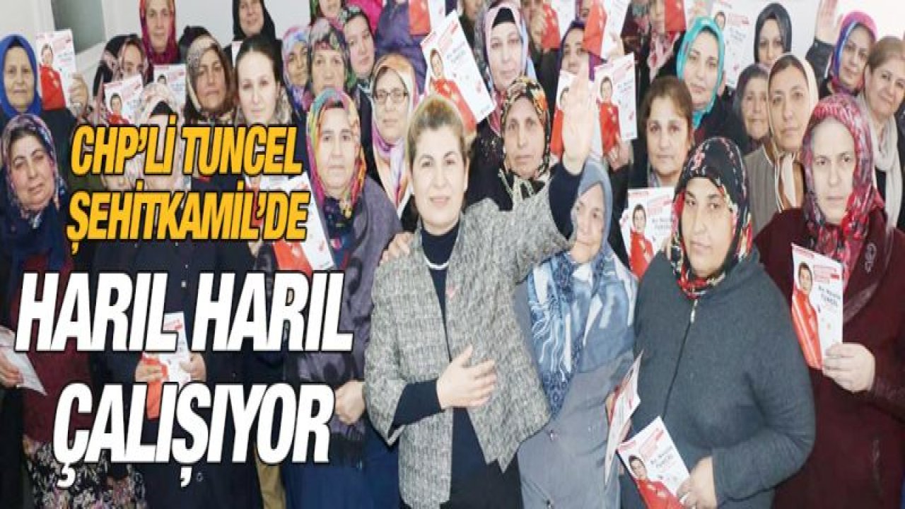 CHP'Lİ TUNCEL ŞEHİTKAMİL'DE HARIL HARIL ÇALIŞIYOR