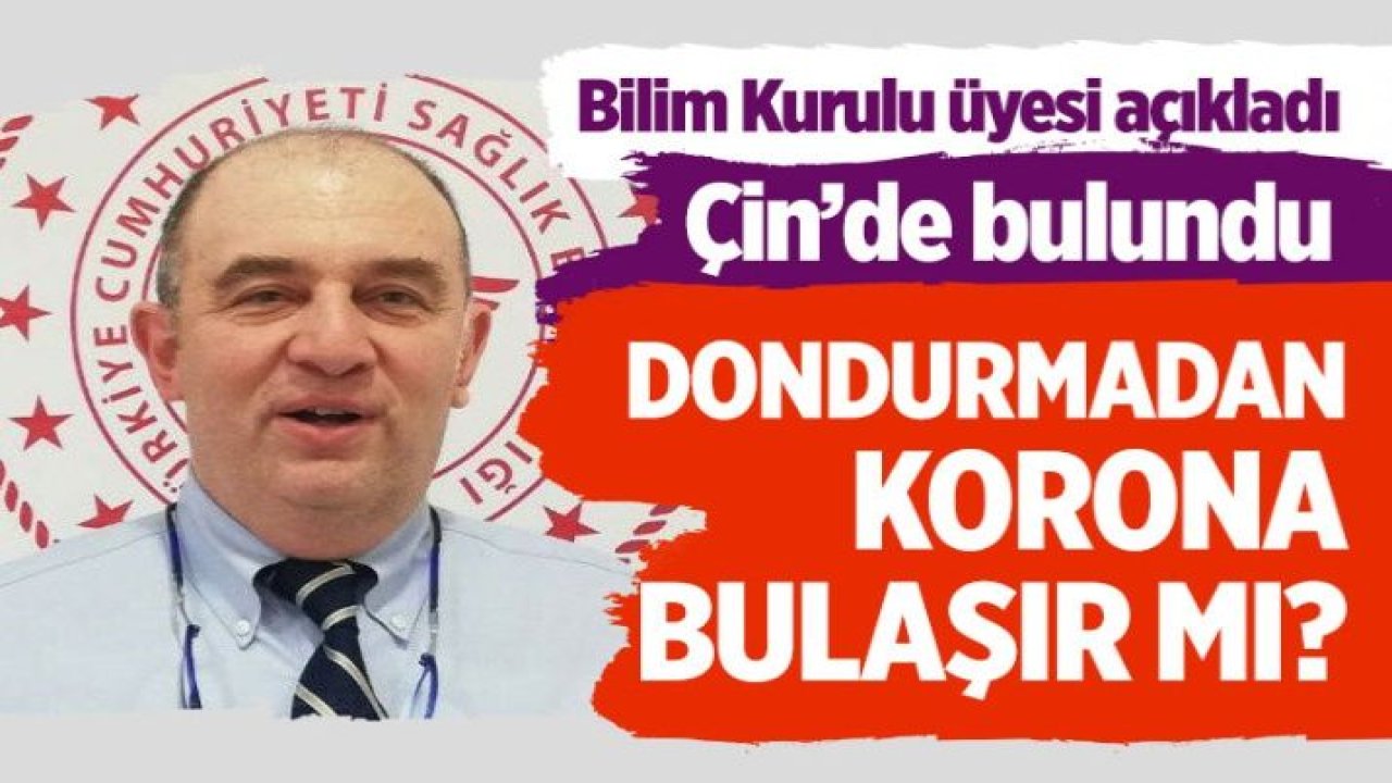 Bilim Kurulu üyesi Ateş Kara açıkladı! Dondurmadan koronavirüs bulaşır mı?