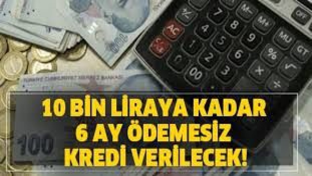 Vakıfbank, Halkbank, Ziraat Bankası 6 ay ödemesiz kredi başvurusu nasıl yapılacak!